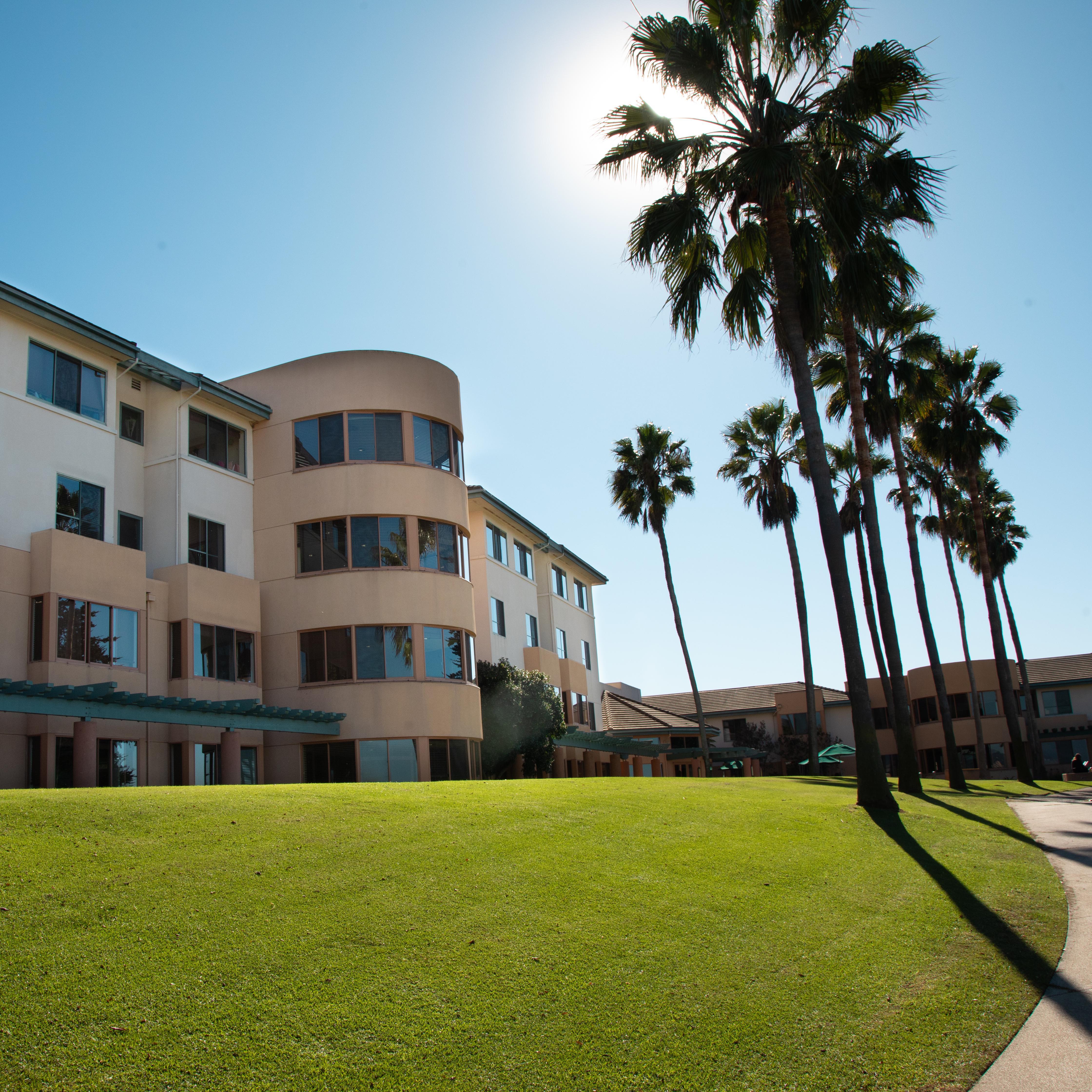 An exterior shot of a apartments on campus with green grass and palm trees in the background.